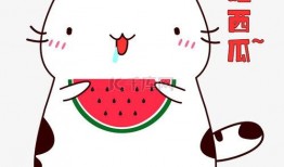 吃瓜表情包素材免费观看,免费畅享吃瓜表情包盛宴